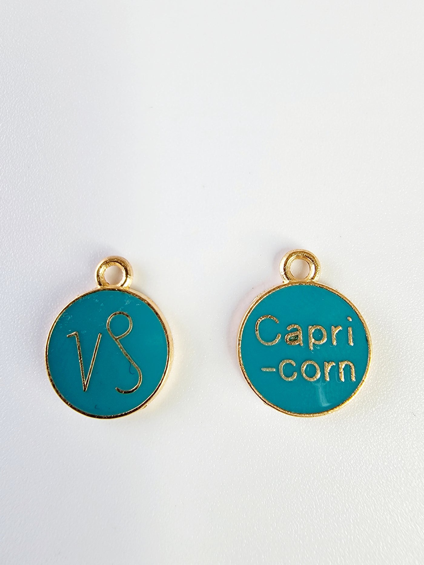 Capricorn Charm