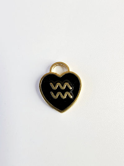 Aquarius Charm