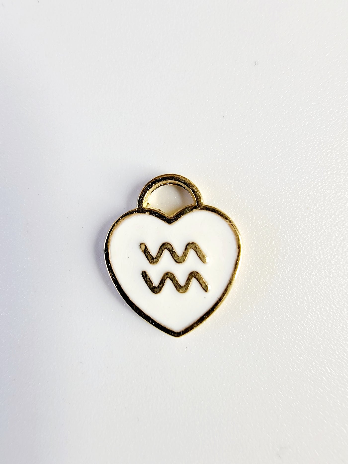 Aquarius Charm