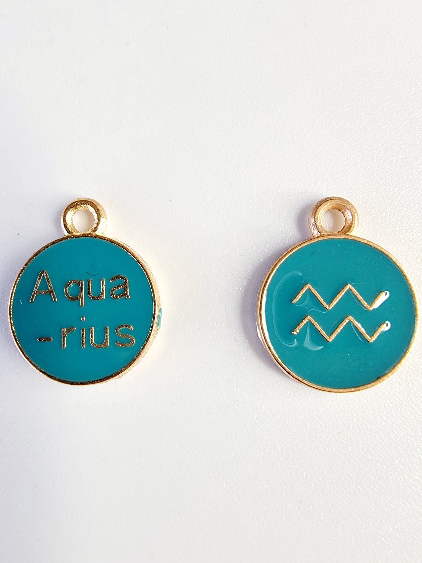 Aquarius Charm