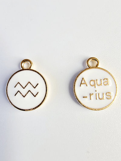 Aquarius Charm