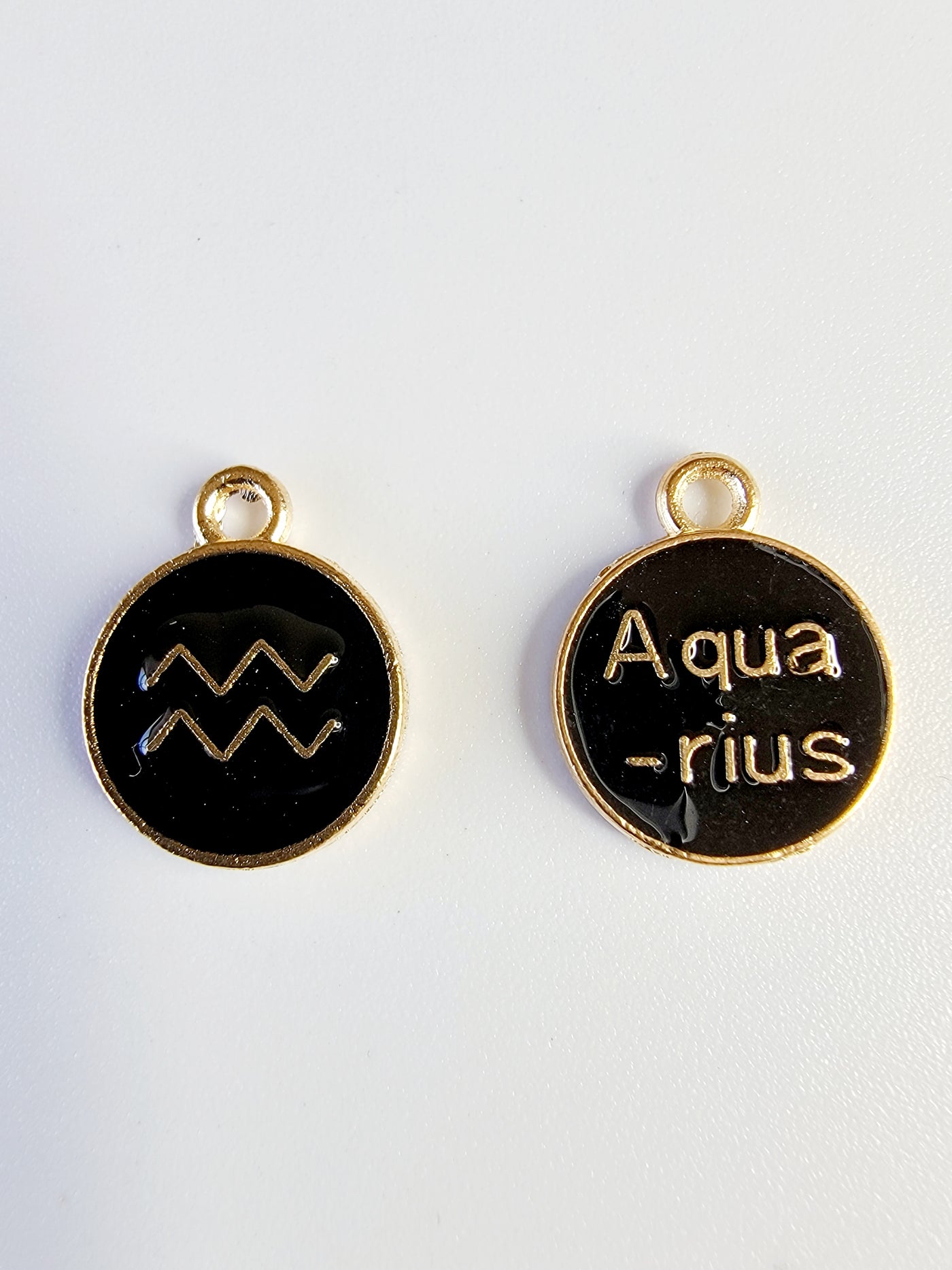 Aquarius Charm