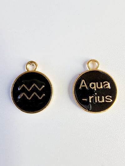 Aquarius Charm