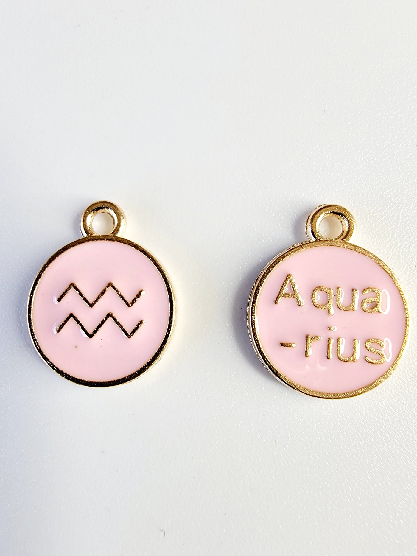 Aquarius Charm