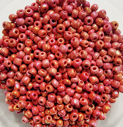 Seed Beads 100g