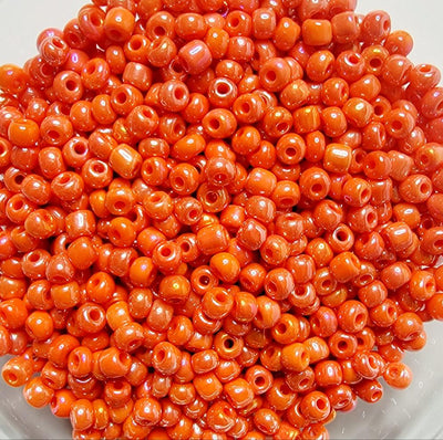 Seed Beads 100g