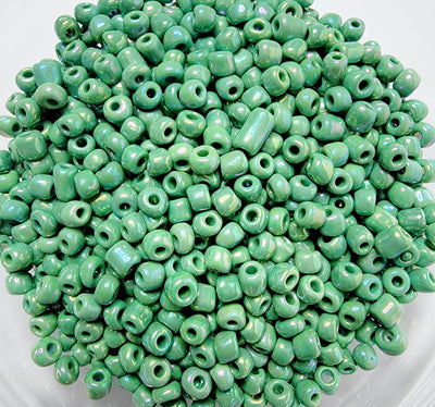 Seed Beads 100g